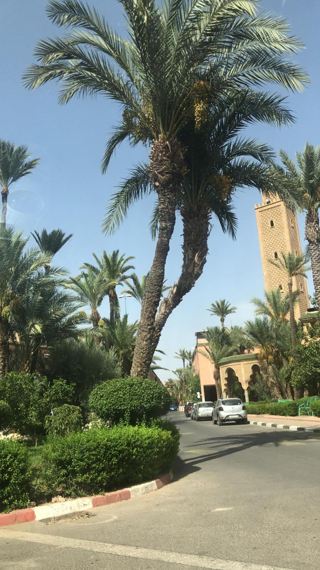 Riad Lyna Marrakesh Eksteriør billede